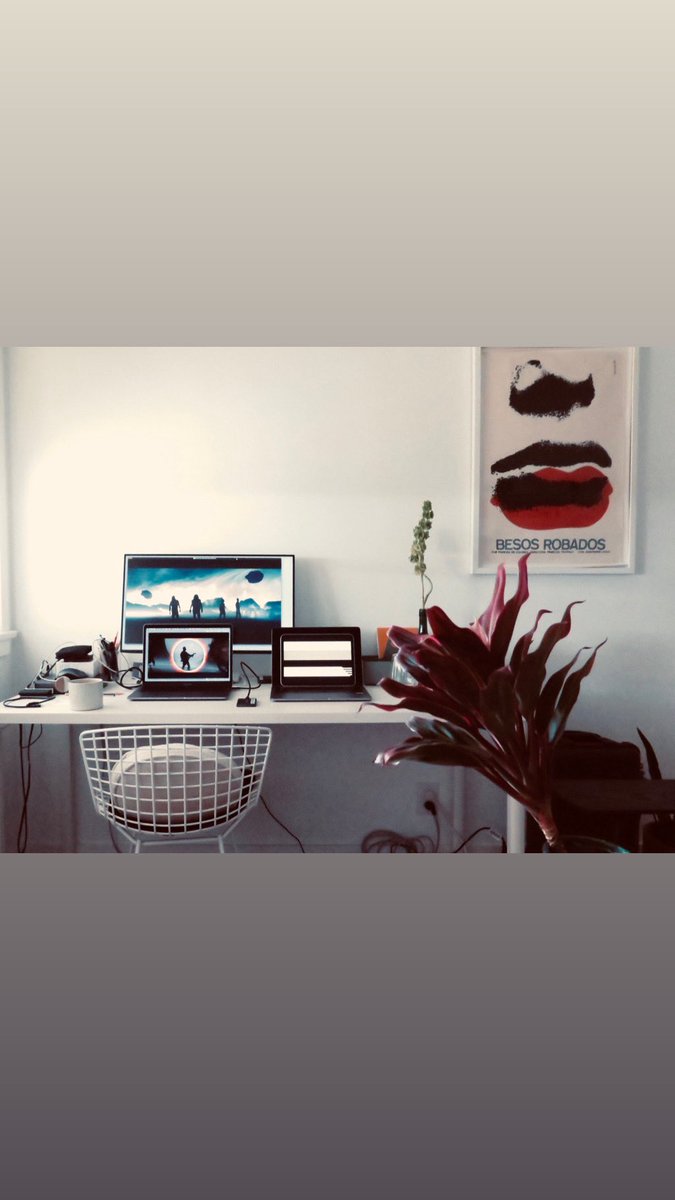 Tim Saccenti tweet media