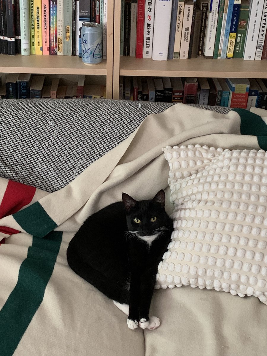 jakeinternet's tweet image. larry check / curly check