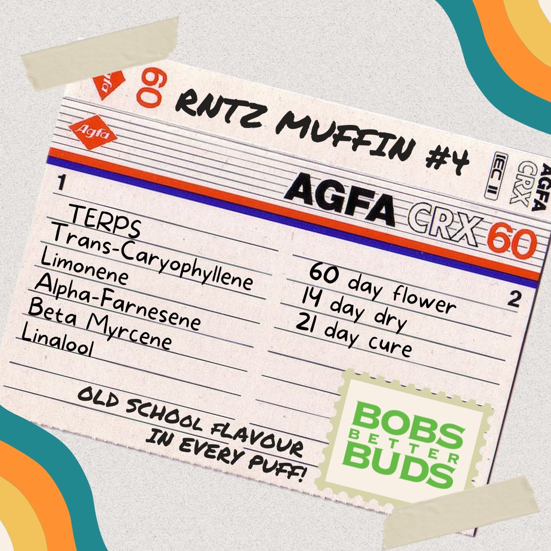 Robert Ritchie (@bobsbetterbuds) on Twitter photo 