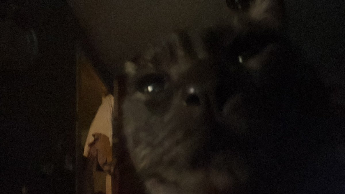 person space does not exist in his world