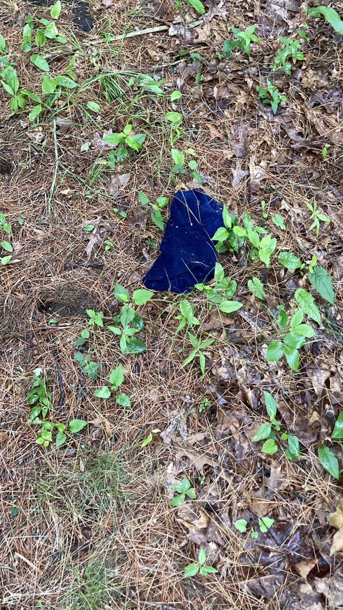 Grumpy Super (@grumpysuper) on Twitter photo Never EVER pick up a towel in the woods. Rookie made that mistake and had to drive in with #shitfingers. <a href="/grumpysuper/">Grumpy Super</a> Never EVER pick up a towel in the woods. Rookie made that mistake and had to drive in with #shitfingers. <a href="/grumpysuper/">Grumpy Super</a>