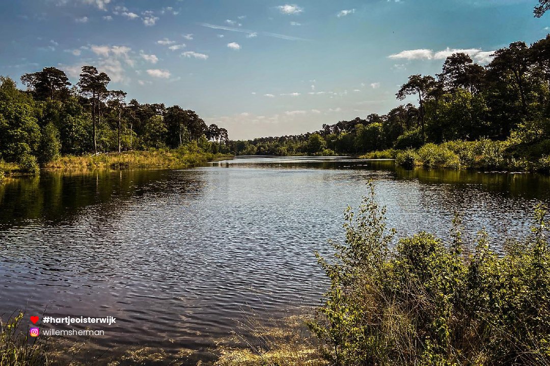 📷 Foto: Herman Willems
🔎 instagram.com/willemsherman
♥ 𝗭𝗲𝗹𝗳 𝗲𝗲𝗻 𝗺𝗼𝗼𝗶𝗲 𝗳𝗼𝘁𝗼? 𝗚𝗲𝗯𝗿𝘂𝗶𝗸 #hartjeoisterwijk

-
#noordbrabant #noordbrabantdichterbij #visitbrabant #netherlands #oisterwijksebossenenvennen #wandelen #oisterwijk #visitnetherlands #nature