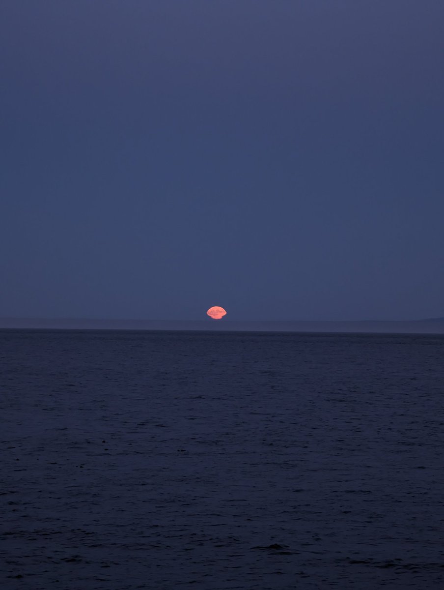 SocMedGirlyyj's tweet photo. Last night's #moonrise. 😍
#CloverPoint https://t.co/5KdWPfTLc7