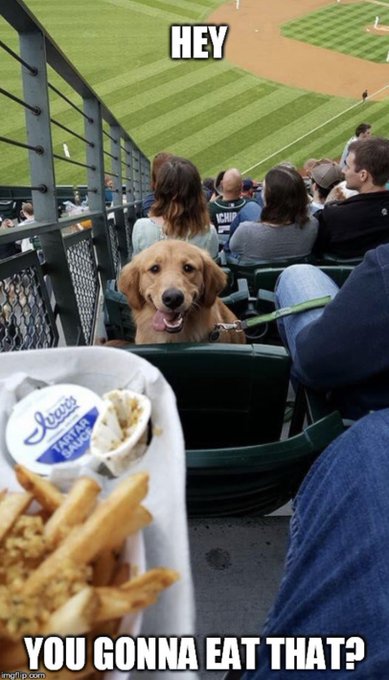 Begins a sexting session as usual. Has apple in hand. Rabbit: https://t.co/vzn2crZAAE<a href="/tag/nsfwtwt"class="tags"><span>#nsfwtwt</span></a>