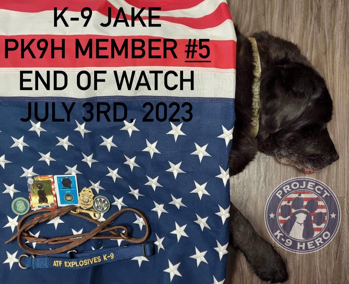 ProjectK9Hero's tweet photo. 🇺🇸💙🇺🇸 https://t.co/MOBqbPeVzx