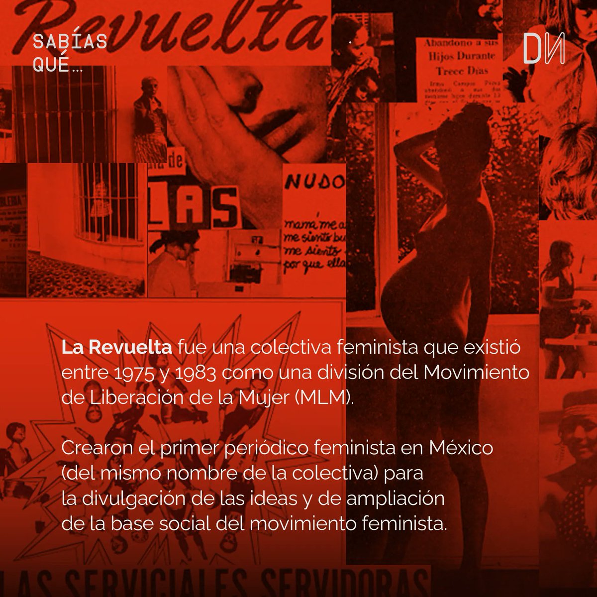 Disidenta tweet media