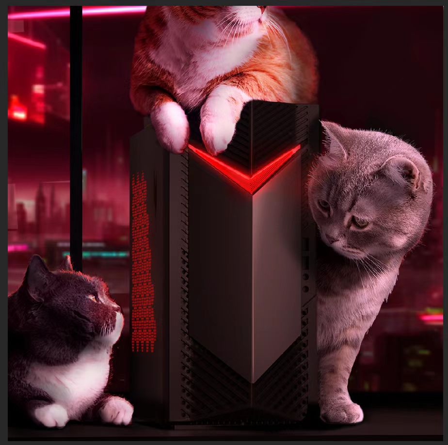 Acer's tweet photo. Day 50 of blending in. They still haven’t noticed I’m not a cat. #Nitro50 https://t.co/Joe2omJrUR