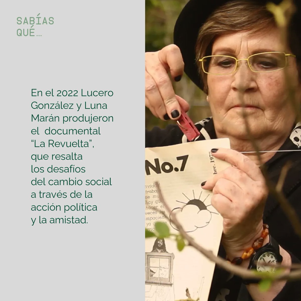 Disidenta tweet media