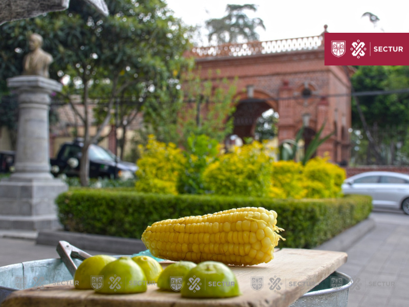 turismocdmx's tweet photo. La originalidad y variedad de la gastronomía de la #CDMX ofrece experiencias culinarias excepcionales.🌮✨
El talento de cocineras y cocineros tradicionales, en mercados, tianguis y ferias; y de chefs nacionales e internacionales en restaurantes, te deleitarán. 🍽️
#SecturCDMX https://t.co/Tb06rcUSP3