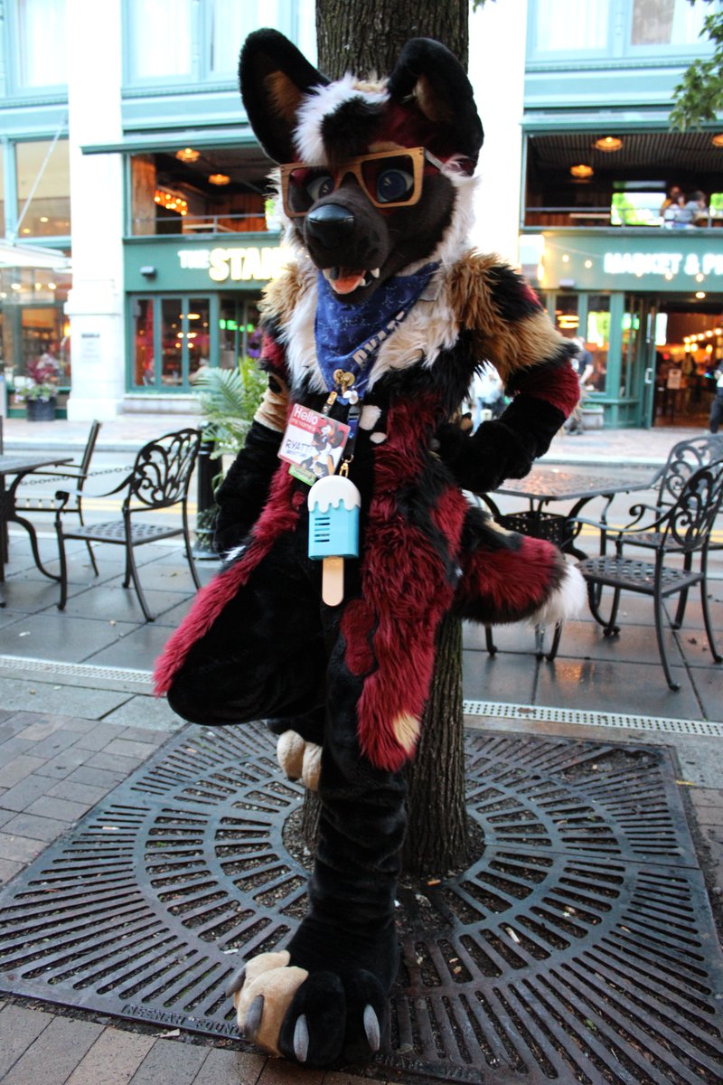 #anthrocon2023 <a href="/RyattAWD/">📡 RyattAWD 📡 @ AFC</a>