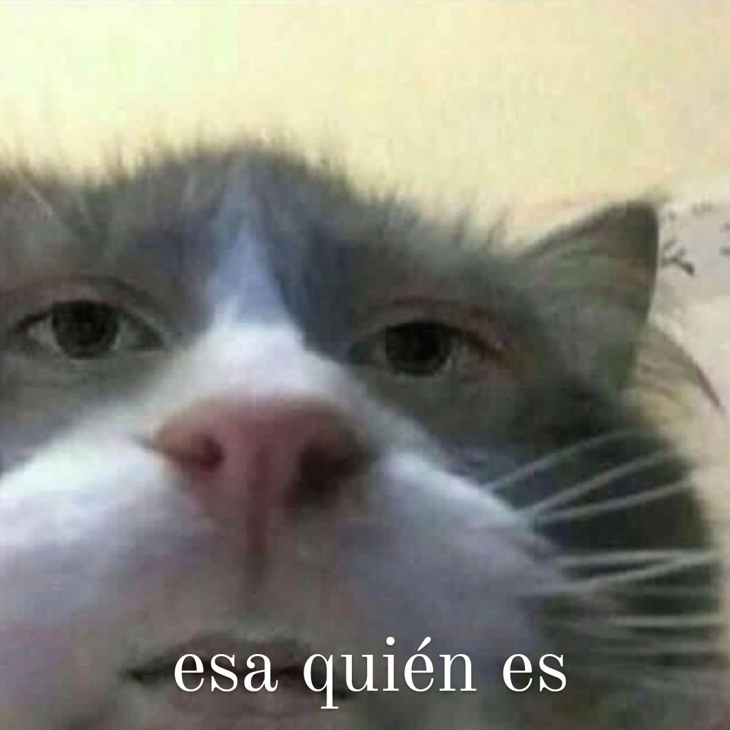 aliciabarraganm's tweet photo. *le enseño un tiktok a mi madre* 
mi madre: https://t.co/2vwwVfBKT8