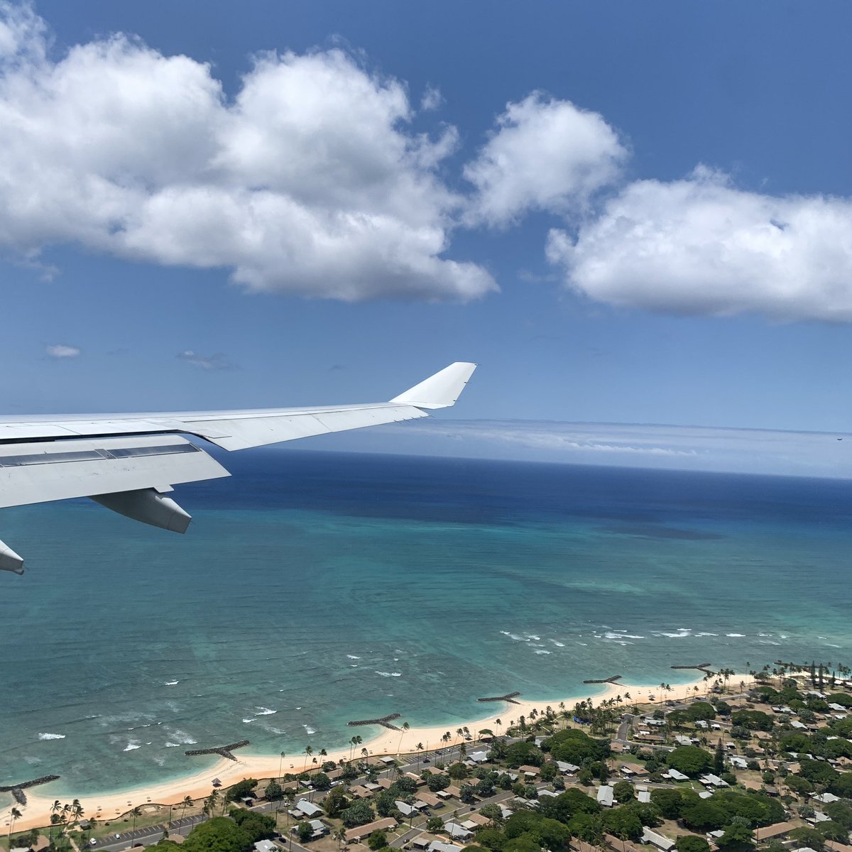 yourqueerprof tweet media