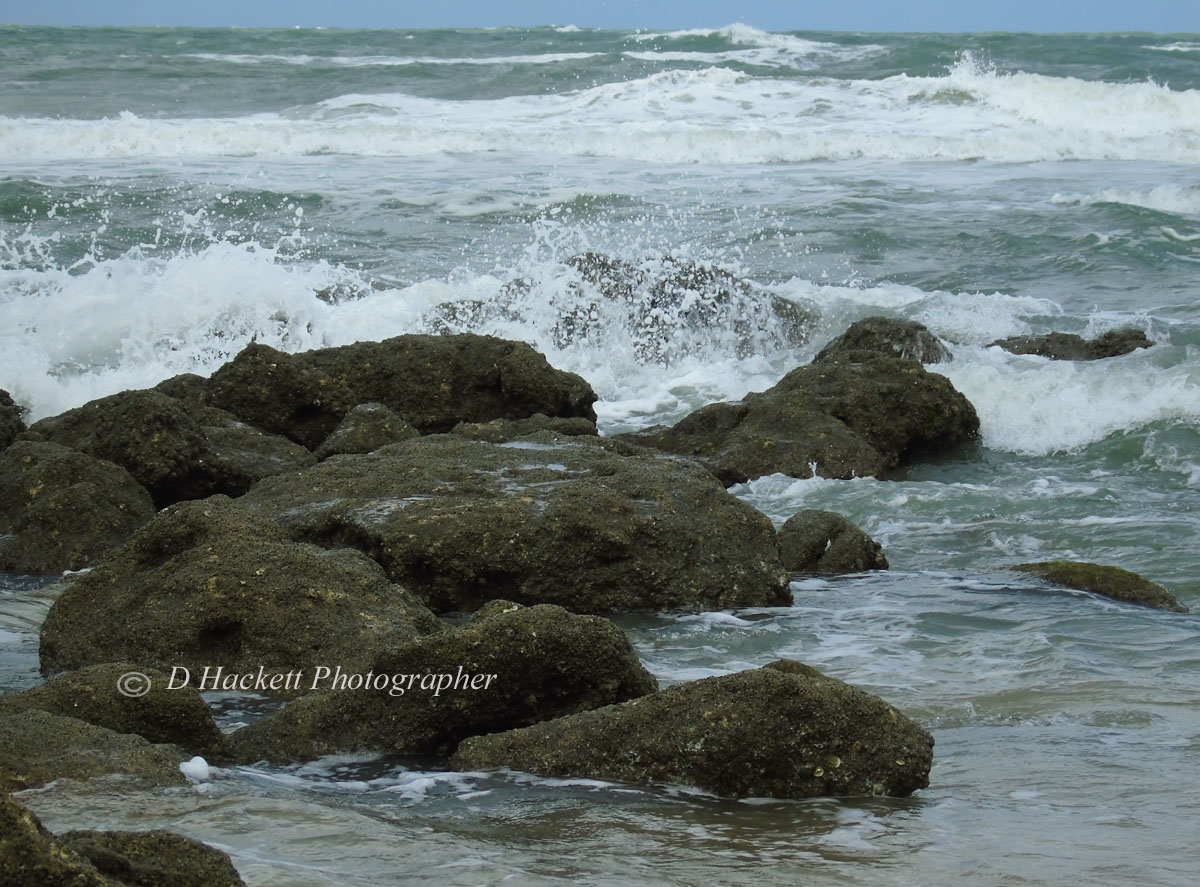 Washington Oaks State Park has the second largest outcropping of #coquina rock found on Florida’s #beaches. Hurricane Dorian was off the coast and the ocean was churned up with white caps pounding surf powerful wind and large waves. https://t.co/KfHlnaA7Qb https://t.co/9SblmYjYJH