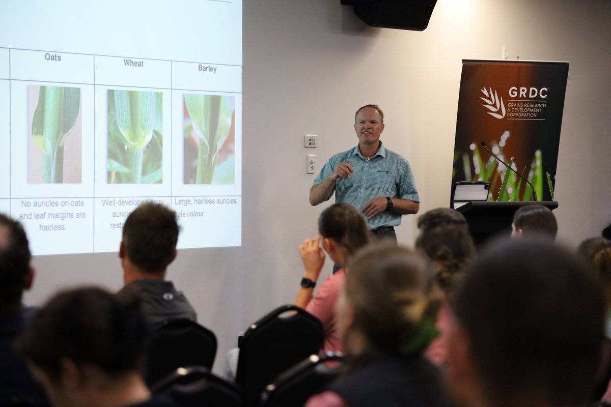 theGRDC's tweet photo. Our Grains Research Updates are hitting new parts of Victoria and regional South Australia, don't miss out!

✔️ Berriwillock, 12 Jul
✔️ Minyip, 13 Jul
✔️ Streaky Bay, 26 Jul
✔️ Cleve, 27 Jul
✔️ Karoonda, 9 Aug
✔️ Keith, 29 Aug
✔️ Charlton, 30 Aug

👉 https://t.co/Dq51Ve3nPk https://t.co/CvzdXvgL2L