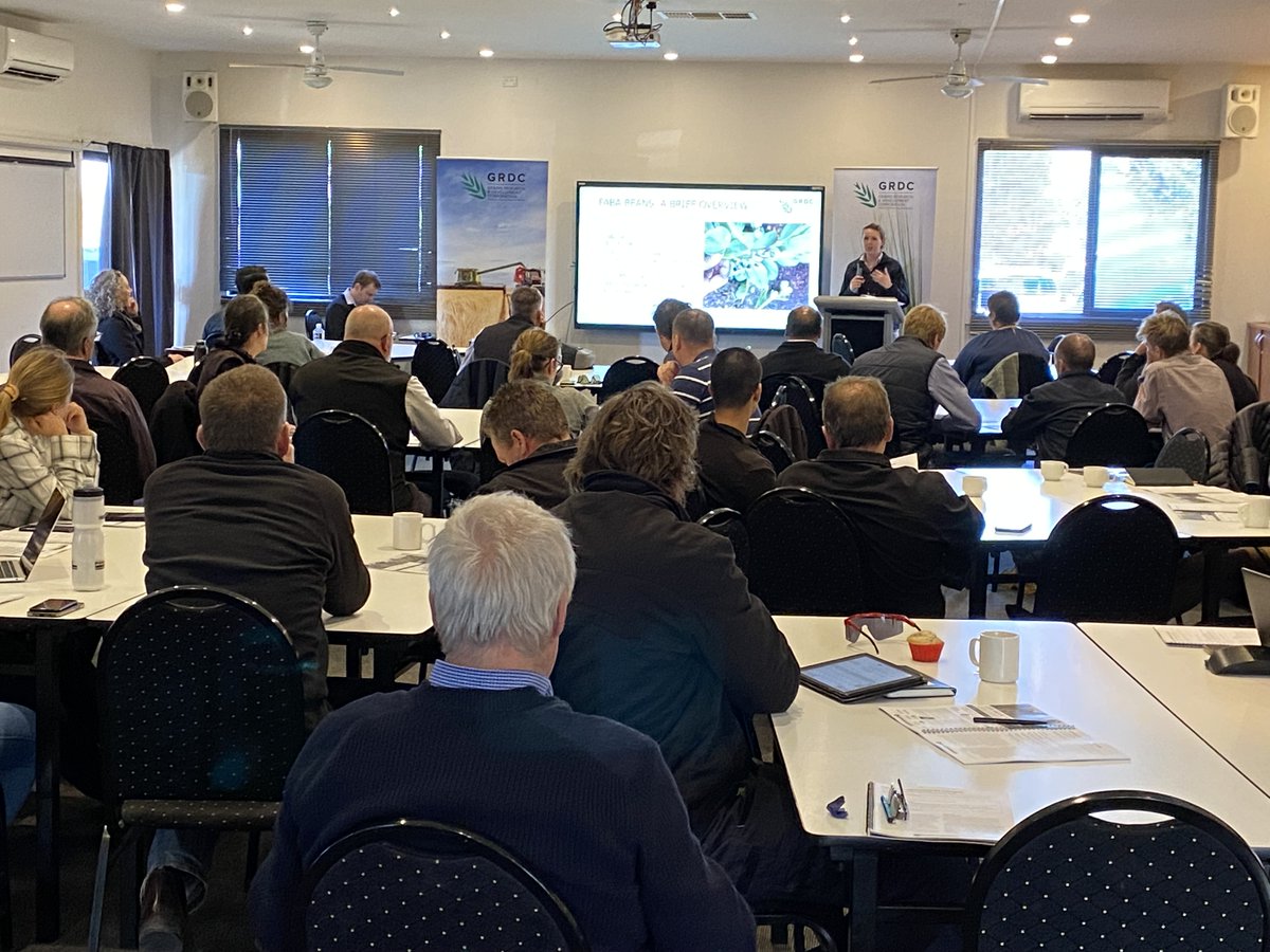 theGRDC's tweet photo. Our Grains Research Updates are hitting new parts of Victoria and regional South Australia, don't miss out!

✔️ Berriwillock, 12 Jul
✔️ Minyip, 13 Jul
✔️ Streaky Bay, 26 Jul
✔️ Cleve, 27 Jul
✔️ Karoonda, 9 Aug
✔️ Keith, 29 Aug
✔️ Charlton, 30 Aug

👉 https://t.co/Dq51Ve3nPk https://t.co/CvzdXvgL2L