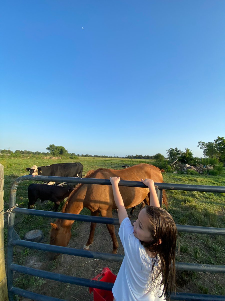 jadeDISGUISE's tweet photo. 🐎 https://t.co/L9OnVxRkWE