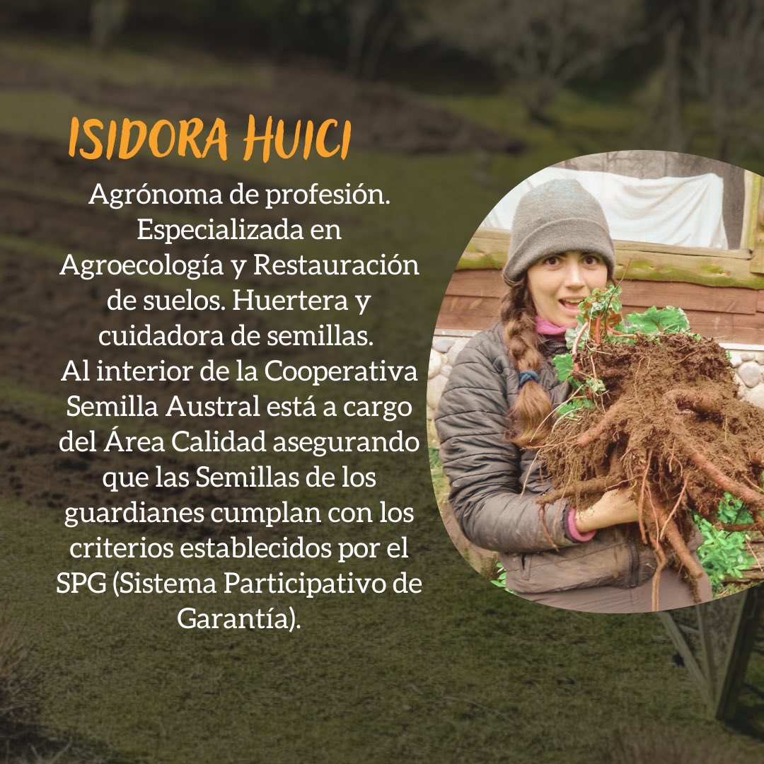 semilla_austral's tweet photo. El sábado 15 de julio daremos un taller para enseñarte a planificar y diseñar una huerta agroecológica 👩🏻‍🌾 Precio MUY accesible (17 luquitas) incluye semillas y acompañamiento. 
Ayúdanos a difundir 🙏🏾🌬️ https://t.co/u8mS4vqXJI