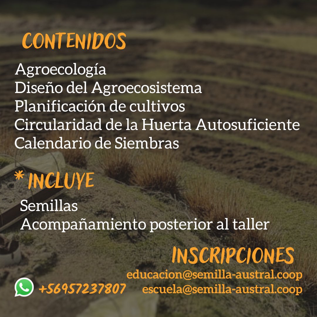 semilla_austral's tweet photo. El sábado 15 de julio daremos un taller para enseñarte a planificar y diseñar una huerta agroecológica 👩🏻‍🌾 Precio MUY accesible (17 luquitas) incluye semillas y acompañamiento. 
Ayúdanos a difundir 🙏🏾🌬️ https://t.co/u8mS4vqXJI