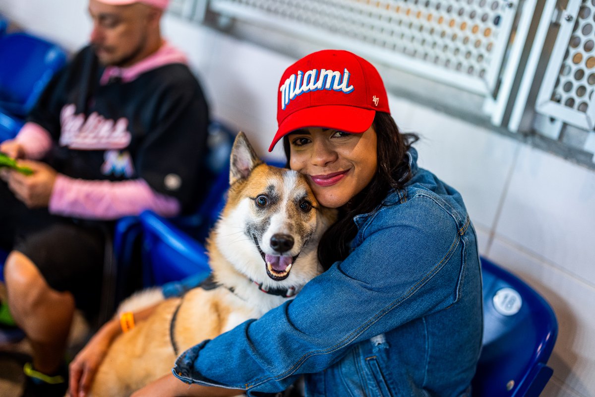 loanDepot park tweet media