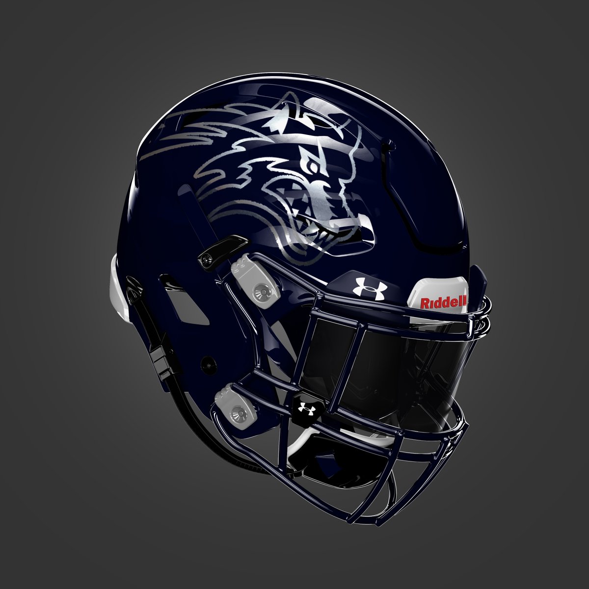 Missouri Helmet Project tweet media