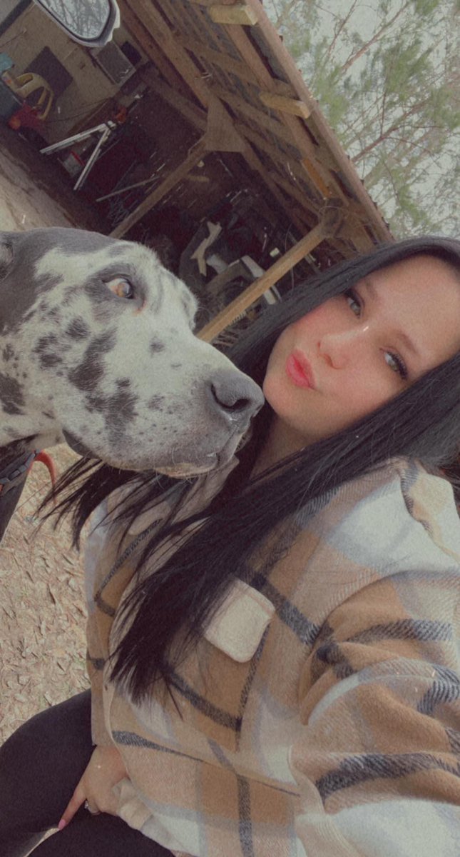 colleen rebert tweet media