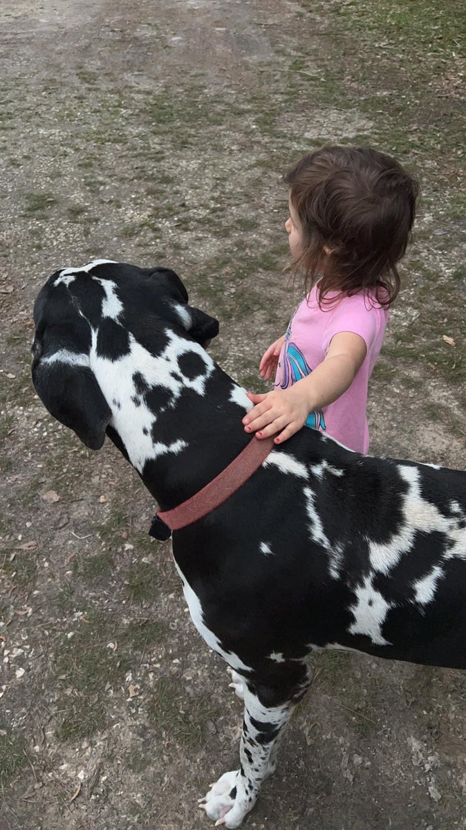 colleen rebert tweet media