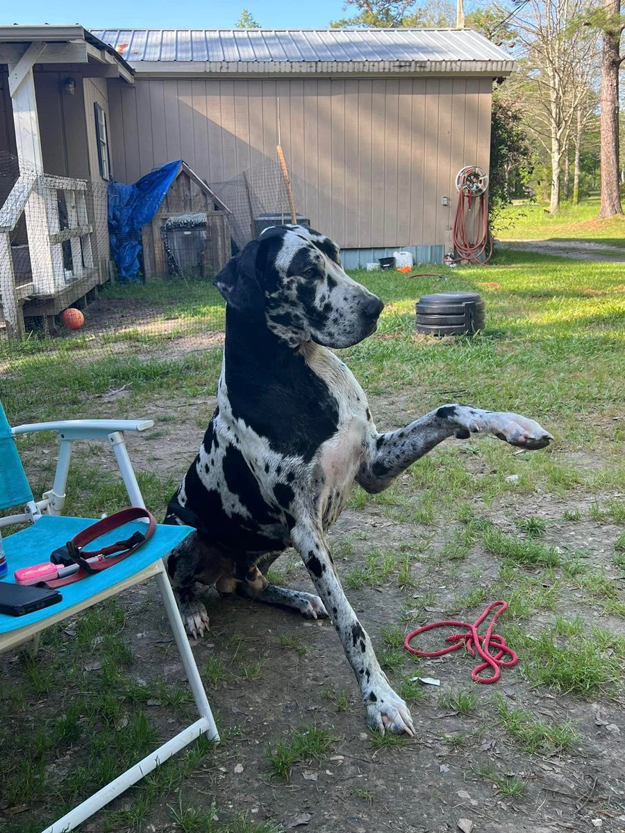 colleen rebert tweet media