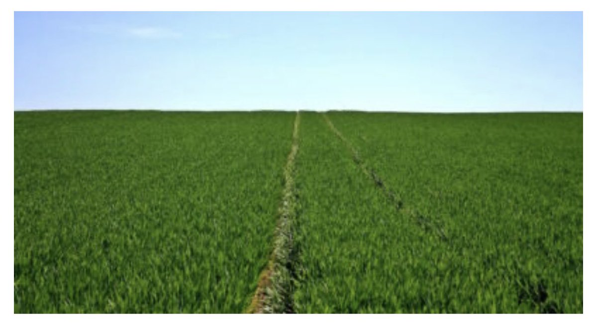 Blu Cocoon Digital tweet media