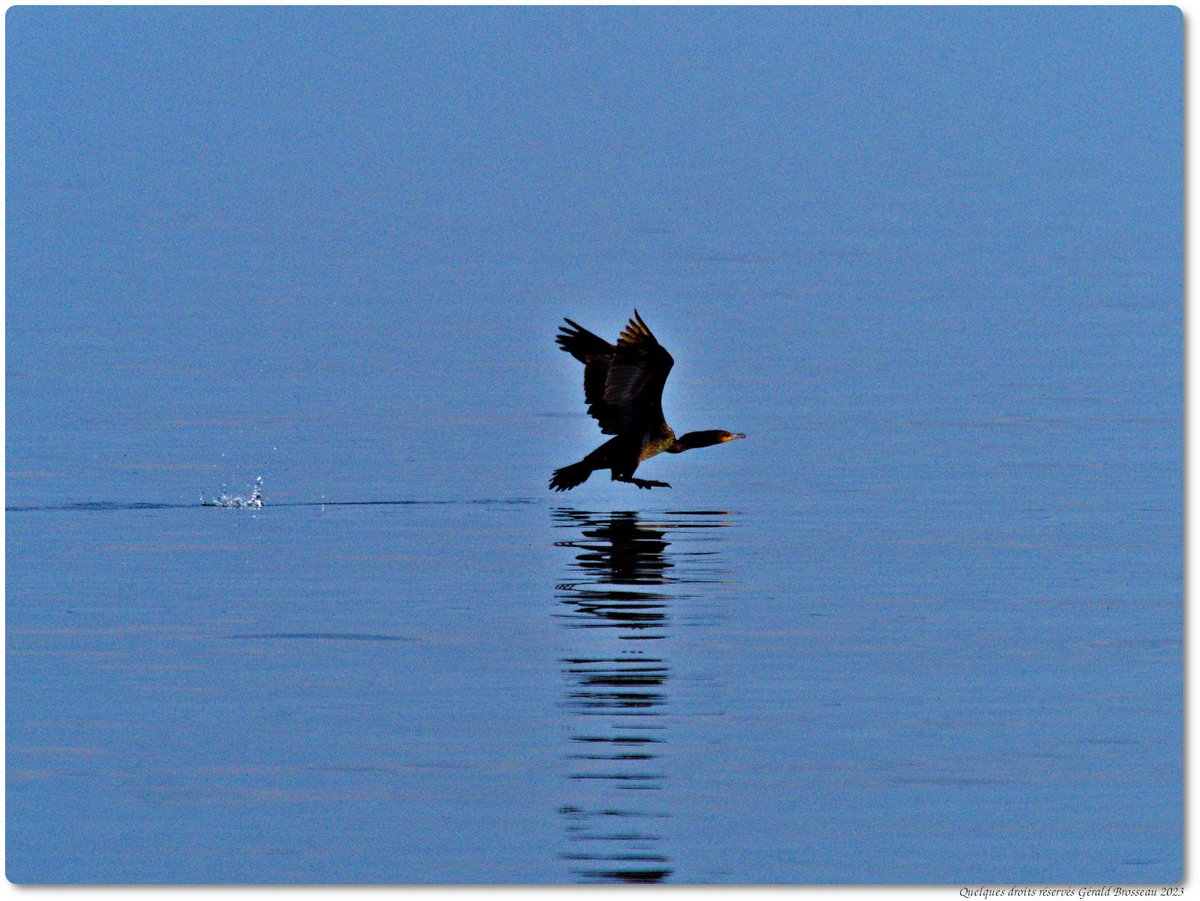 Gerald Brosseau tweet media