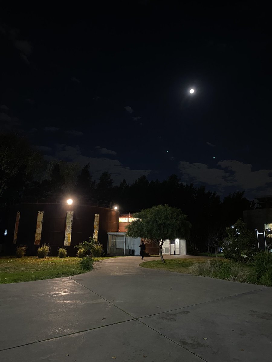 María Emilia Larsen tweet media