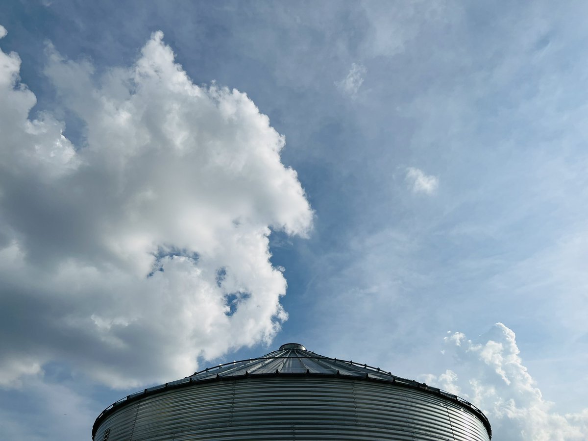 Bang Brewing tweet media