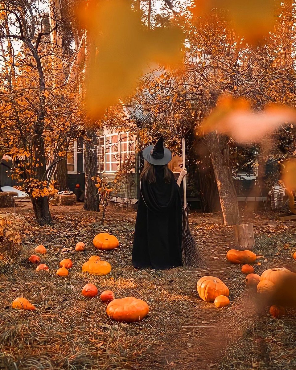 aperfectpumpkin's tweet photo. Me in my natural habitat https://t.co/9VlBWhmFZi