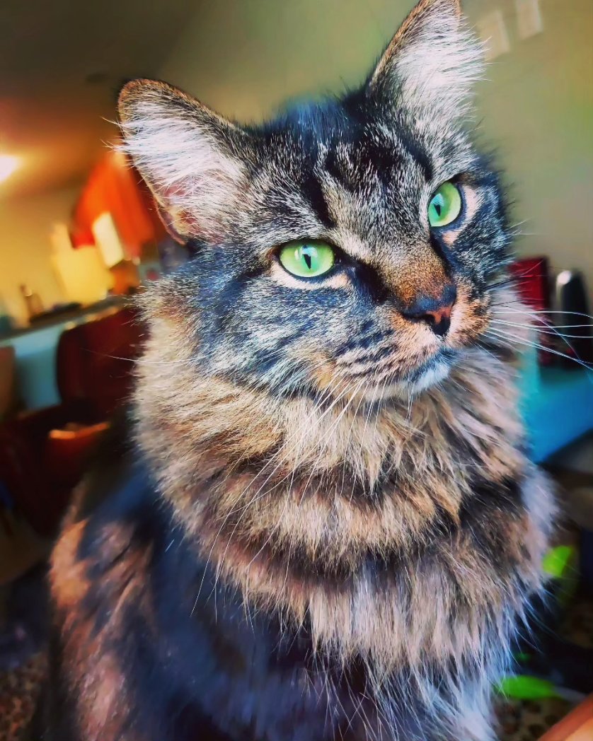 Lilith Powers (@powers_lilith) on Twitter photo 