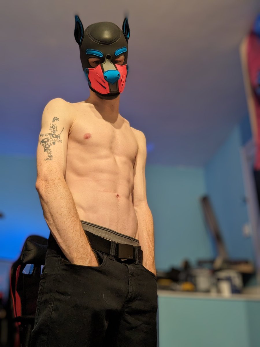 Pup_Spud's tweet photo. Oh hi 🐾 https://t.co/KJbpuVv2bI