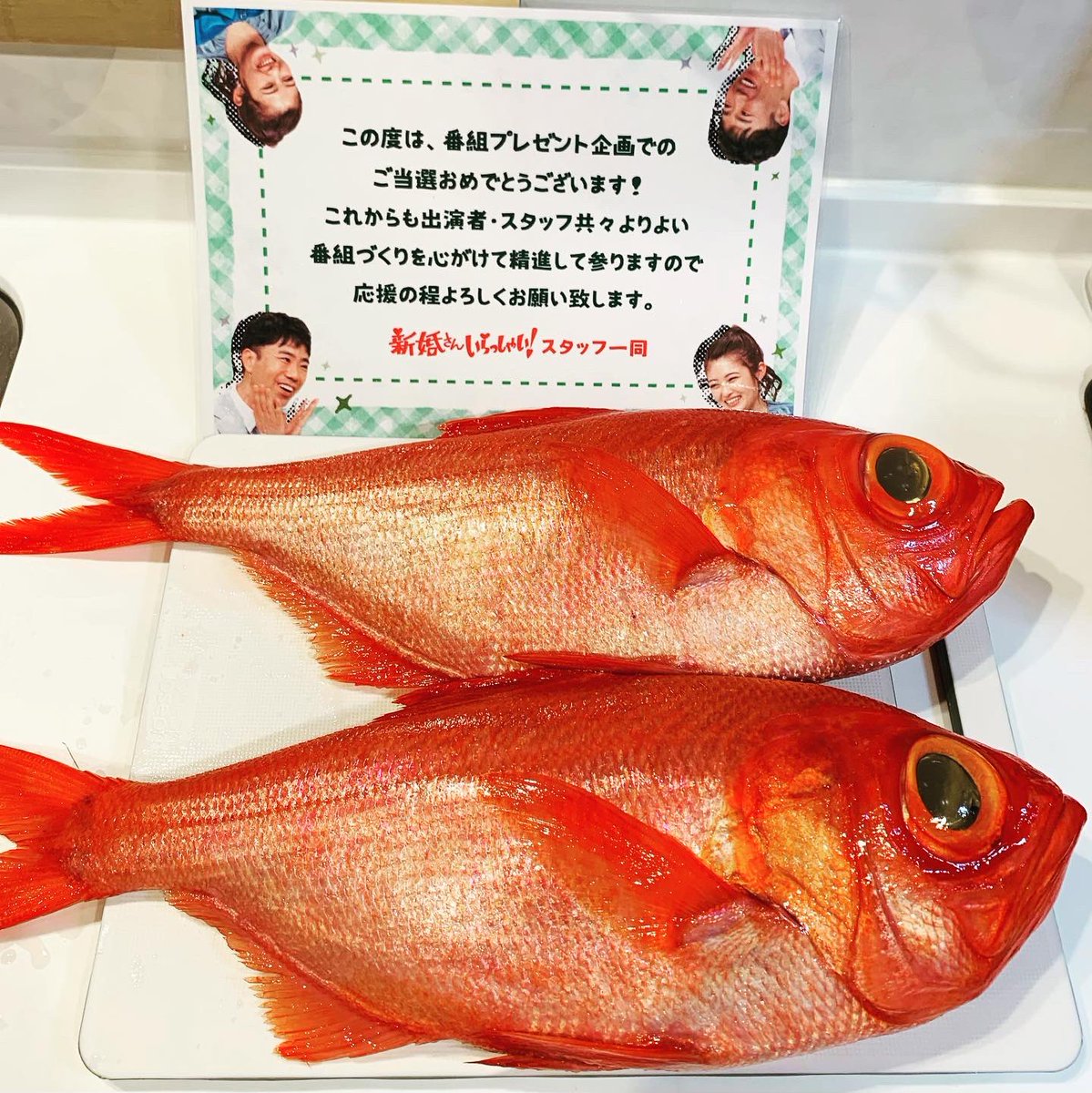 ppppiiii3's tweet photo. 〜当選報告〜
新婚さんいらっしゃい様より、
《八丈島産金目鯛2尾》
当選いたしました🐟

とっても鮮度が良く名前の通り透き通る金色の目❕
重さも1尾1.5kgありとても大きな金目鯛で驚きました💓

自宅で捌く時間がなくスーパーでお願いしましたが、お店の方も新鮮具合に驚いてらっしゃいました🤭 https://t.co/pwRys7Vnkp