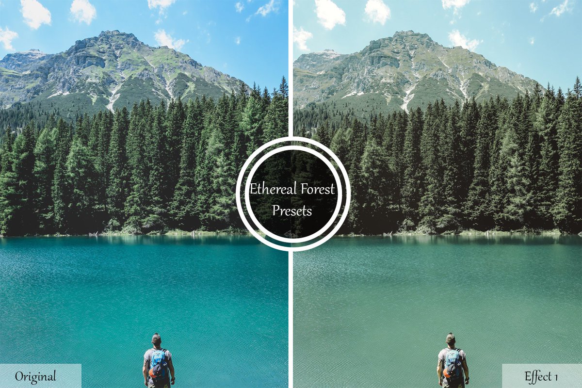 Azharstdio's tweet photo. Ethereal Forest Lightroom Presets
https://t.co/qEQLT2iRPs https://t.co/esjiMOdvx6