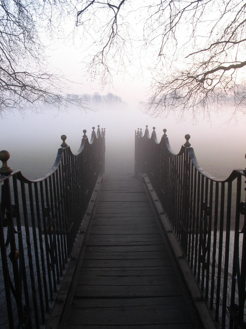 WesleyDonehue's tweet photo. Fog Bridge, Twickenham, England #FogBridge #Twickenham #England https://t.co/iVk6XUo2Pj https://t.co/BgVlW2wviY