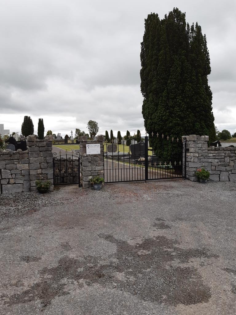 lorraineelizab6's tweet photo. 4 July: St Bolcán of Cell Chúle/#Kilcooley, Co. #Roscommon (John Colgan). Probably 5th C. "delightful Bolcán a golden gem" MartG. Common placename; Bangor estate, Co. Down &amp; Tipperary Abbey. 📷Kilcooley graveyard, Co. Roscommon © @P04426202 https://t.co/SgRGWTIhnp