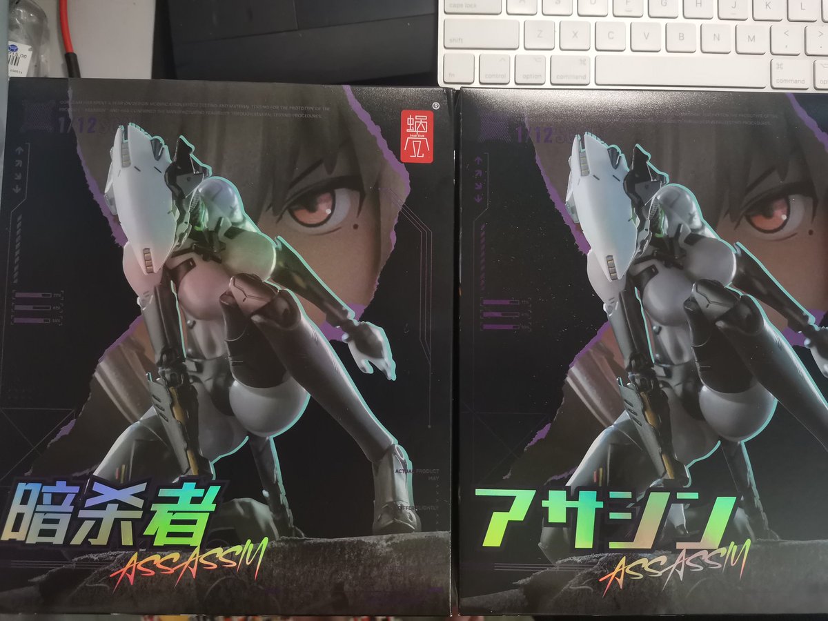 bucenian22's tweet image. 1st batch released and amiami released box layout
@wozhike 
#snailshell
#snailshellassassin
#plasticwaifu