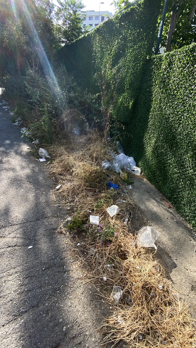 Duygotto's tweet photo. @kadikoybelediye Yine aynı yer, Kadıköy Evlendirme Dairesi’nin yanındaki ara yol. Her yer plastik poşet. https://t.co/65mgMkm5jw