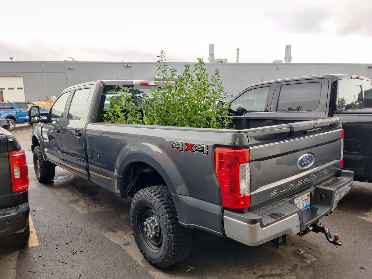 abcobb's tweet image. Forgot to post but this truck been at work so long the dirt in the bed became an ecosystem