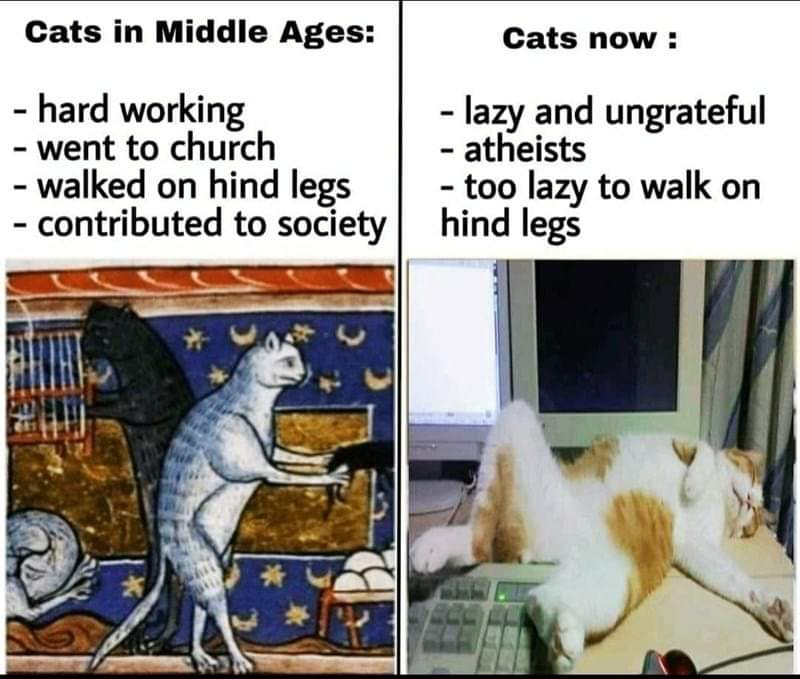 WholesomeMemes (@wholesomememe) on Twitter photo 