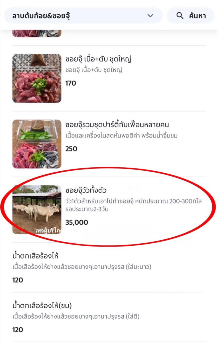 PhilPrajya's tweet photo. 5555 ชอบๆๆ https://t.co/Eq4V8TnYyr