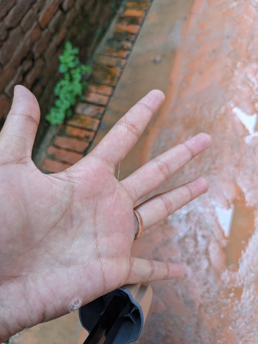 padhaitabapass's tweet photo. Went to pull what I thought was a string hanging off the edge of my umbrella... Somebody spat on my umbrella https://t.co/ufJY6Ldjxu