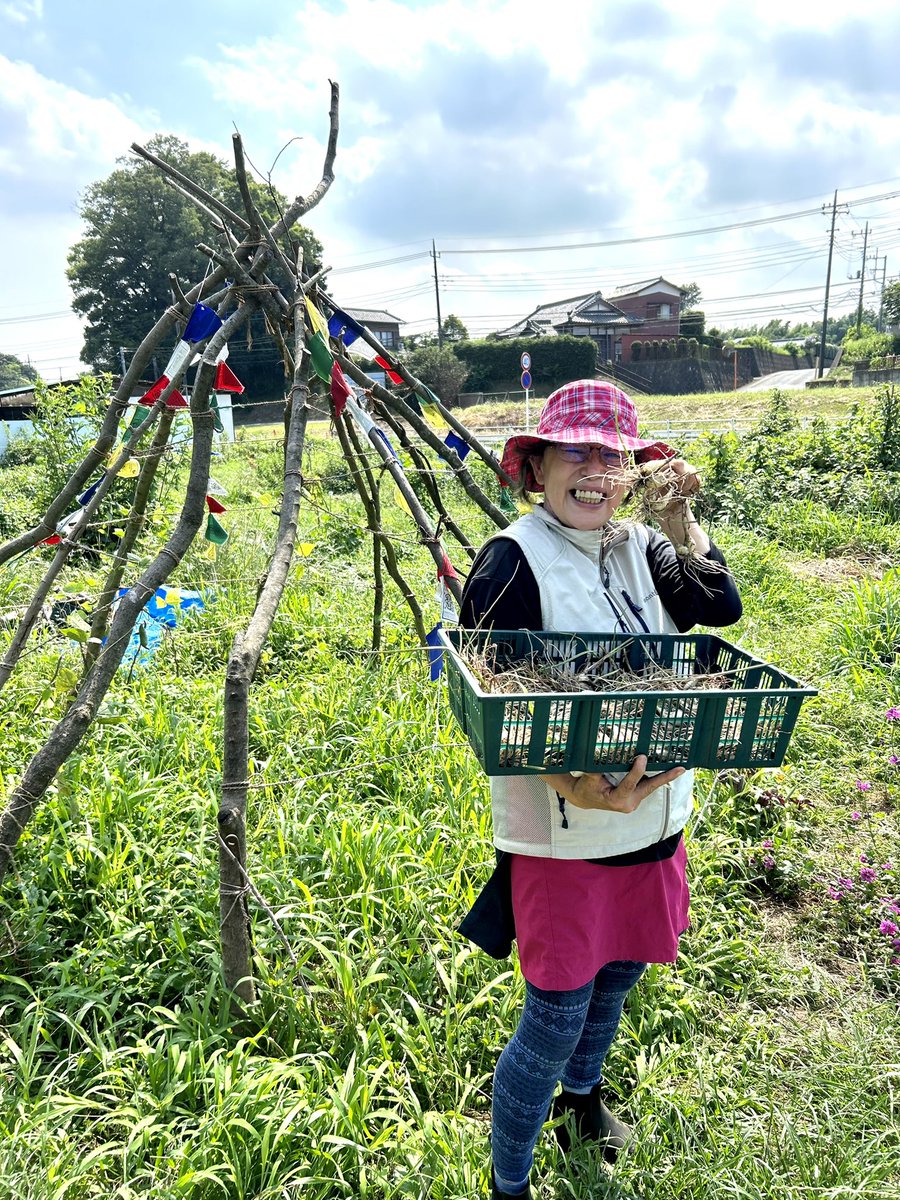TokyoHeritage's tweet image. Yuko's rakkyo pickles production! 
#yukoose #japanesefoods #japanesecooking #rakkyo #foodintokyo