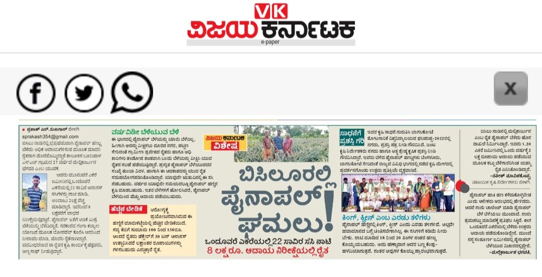 sunagar_vk's tweet photo. ಬಿಸಿಲೂರಲ್ಲಿ #ಪೈನಾಪಲ್_ಘಮಲು!
ಒಂದೂವರೆ ಎಕರೆಯಲ್ಲಿ 22 ಸಾವಿರ ಸಸಿ ನಾಟಿ 8ಲಕ್ಷ ರೂ. ಆದಾಯ ನಿರೀಕ್ಷೆಯಲ್ಲಿ ರೈತ. #ವಿಜಯ_ಕರ್ನಾಟಕ ವಿಶೇಷ. https://t.co/SuxxcbXDuf