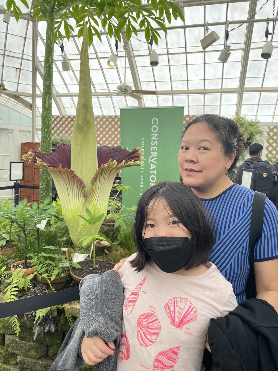 Jan Chong tweet media