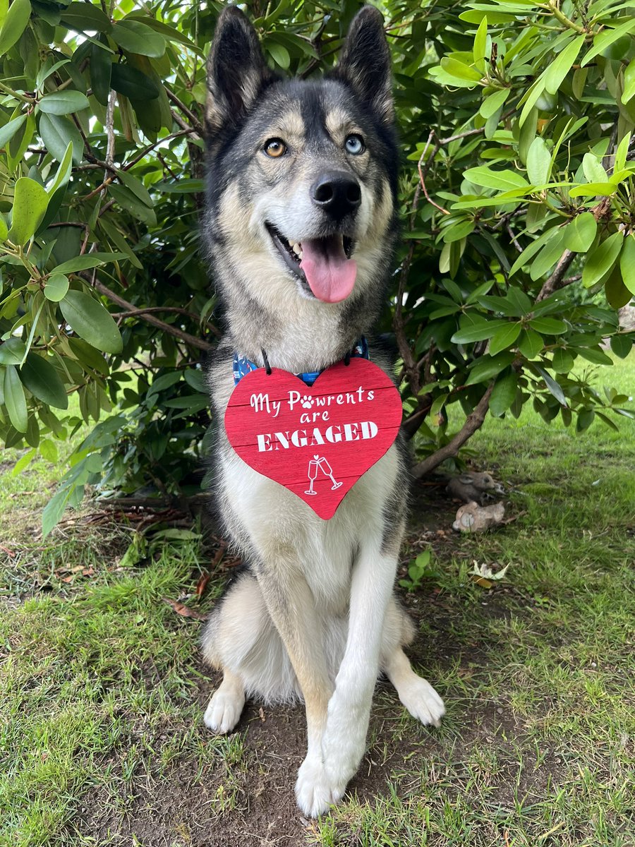 Kelly and Andy tweet media