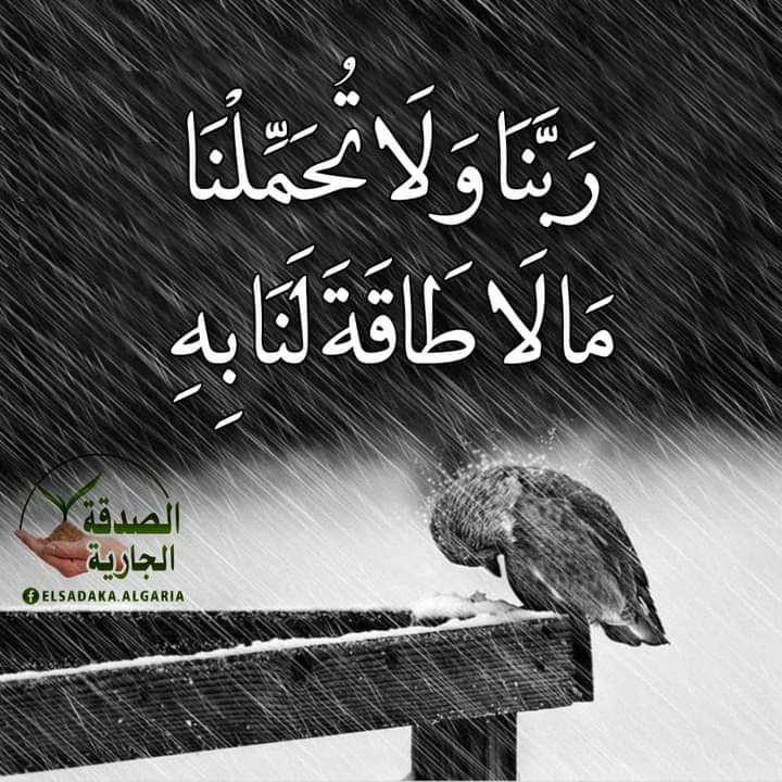 اللهم فرجا قريبا يارب العالمين