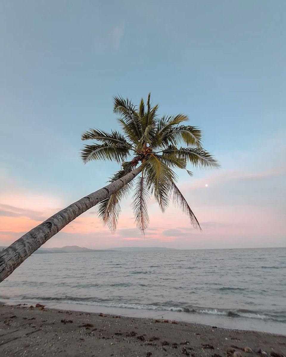 ChezJudyResort's tweet photo. 📸@juandabed
#sunset #beach #tan #travel #travelblogger #travelbohol #travelph #traveladdict #travelling #wander #wanderlust #wanderout #wanders #earthpic #nature #naturephotography #love #like
#sunsets #sunset #sunsetphotography #nature #sunsetlovers #sky #naturephotography https://t.co/5hiWM7pyWM
